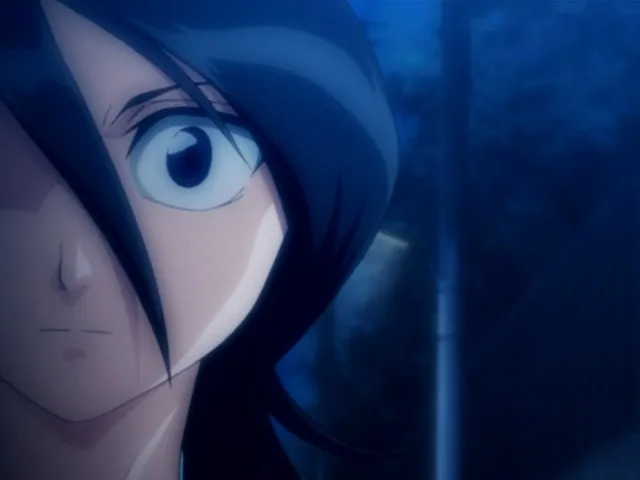 Capture 1 — Épisode 16 : Rencontre ! Le Shinigami qu'Ichigo a rencontré