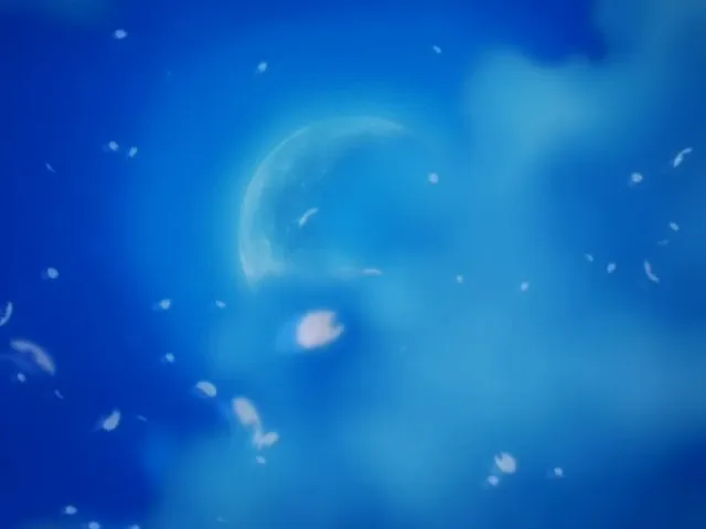 Capture 2 — Épisode 16 : Rencontre ! Le Shinigami qu'Ichigo a rencontré
