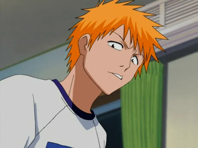 Capture 22 — Épisode 16 : Rencontre ! Le Shinigami qu'Ichigo a rencontré