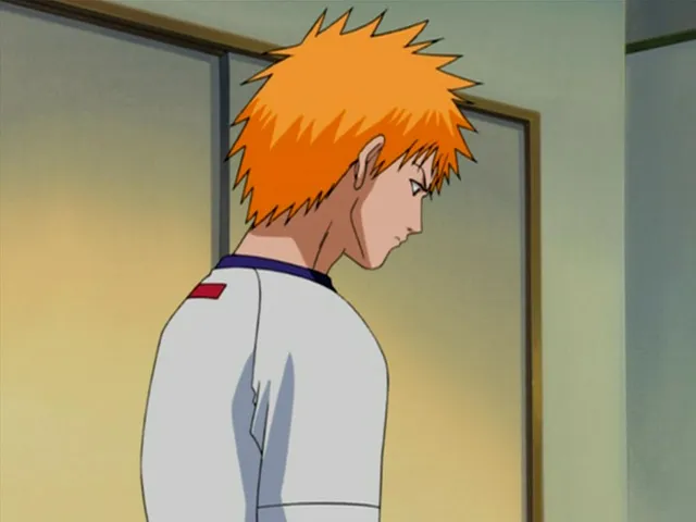 Capture 23 — Épisode 16 : Rencontre ! Le Shinigami qu'Ichigo a rencontré