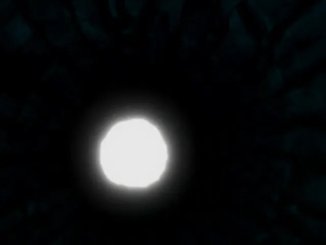 Capture 5 — Épisode 19 : Ichigo devient un Hollow !
