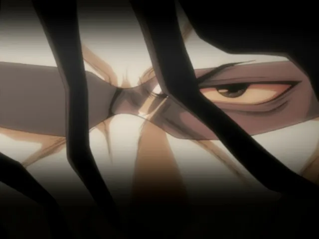 Capture 19 — Épisode 19 : Ichigo devient un Hollow !