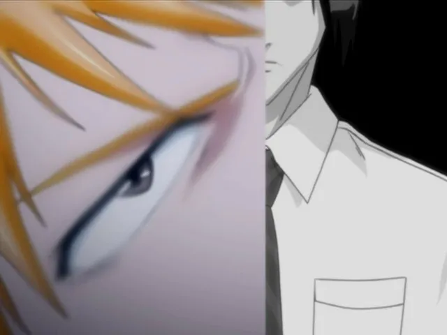 Capture 27 — Épisode 19 : Ichigo devient un Hollow !