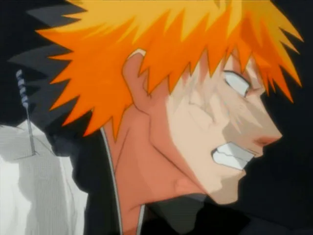 Capture 4 — Épisode 20 : Ichigo Hollow