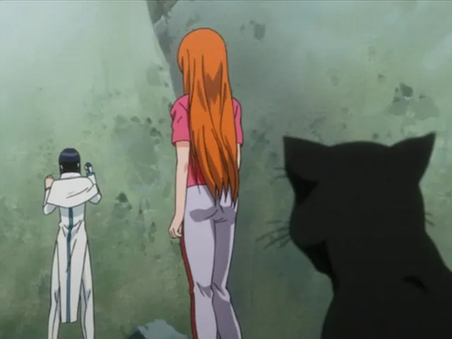 Capture 13 — Épisode 21 : Rukia se rend