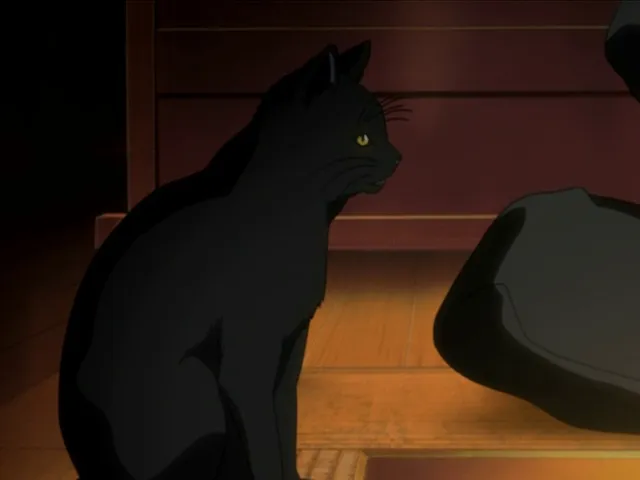 Capture 24 — Épisode 22 : Technique Senkaimon