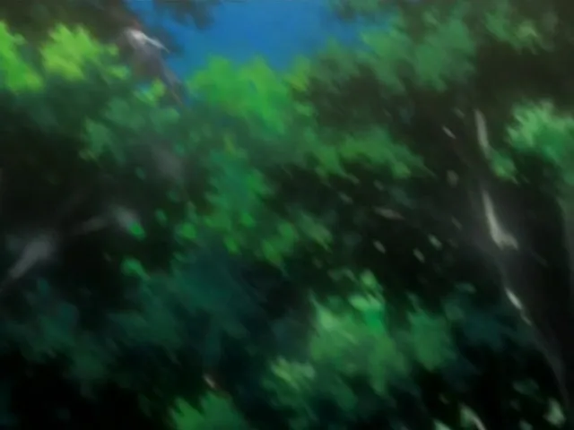 Capture 18 — Épisode 34 : Le Combat d'Orihime