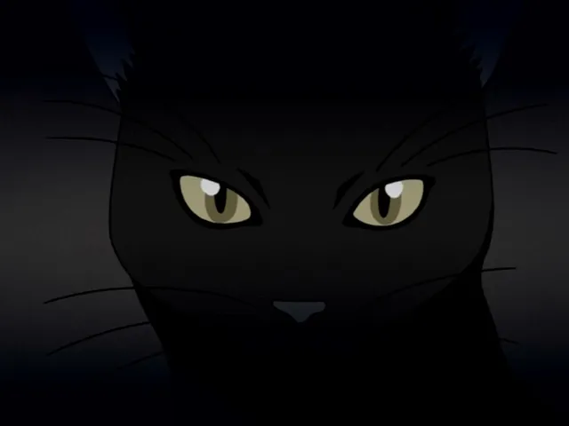 Capture 19 — Épisode 36 : Ishida, le Quincy