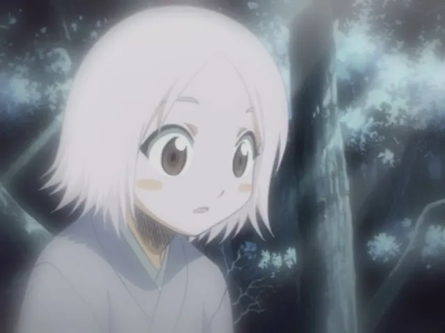 Capture 9 — Épisode 40 : L'Histoire de Rukia et Renji