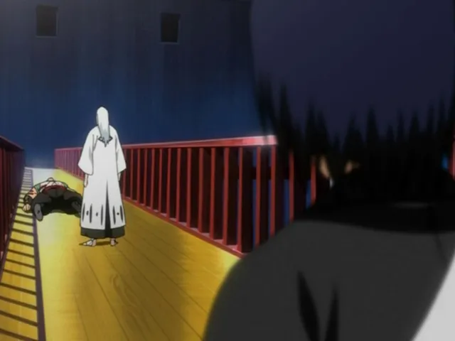 Capture 13 — Épisode 42 : Ichigo s'éveille ! La puissance du Bankai