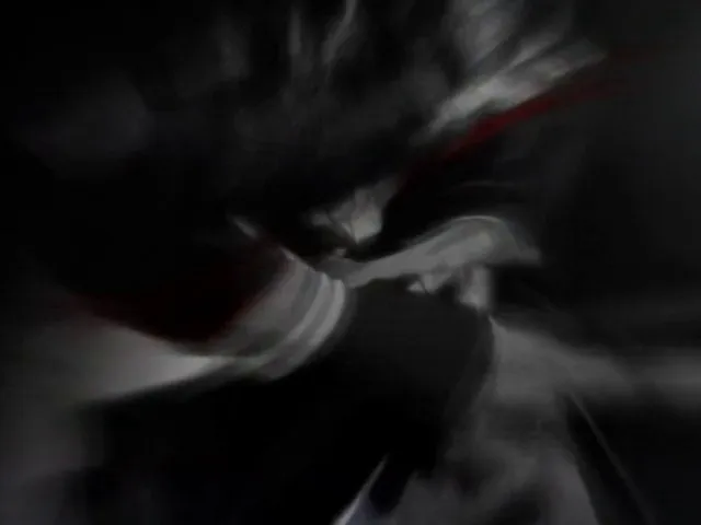 Capture 23 — Épisode 43 : Réunion ! La vérité cachée de Rukia