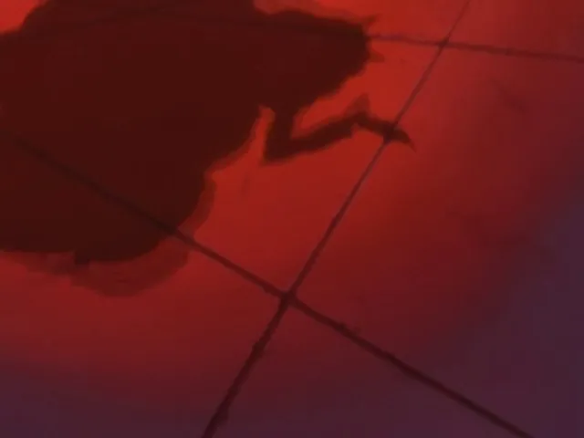 Capture 21 — Épisode 44 : Le Capitaine Zaraki Kenpachi