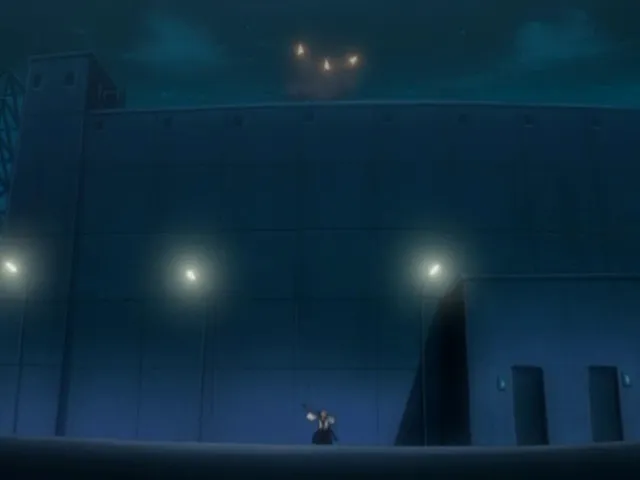 Capture 22 — Épisode 46 : La Force de Kenpachi