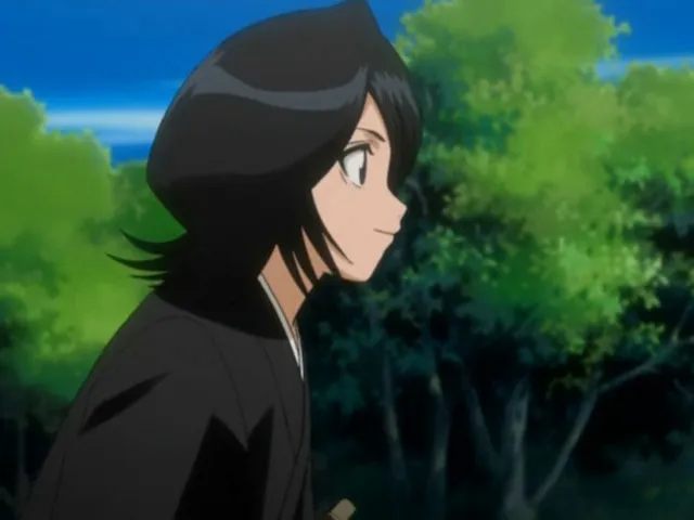 Capture 5 — Épisode 49 : Rencontre ! Byakuya Kuchiki