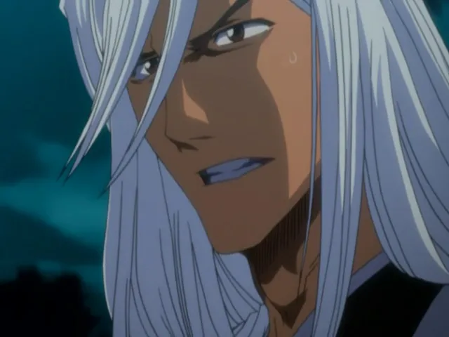 Capture 25 — Épisode 49 : Rencontre ! Byakuya Kuchiki