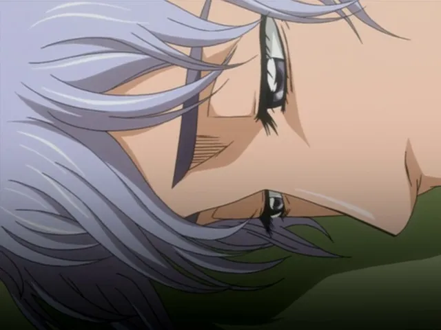 Capture 15 — Épisode 55 : La Révélation de Byakuya