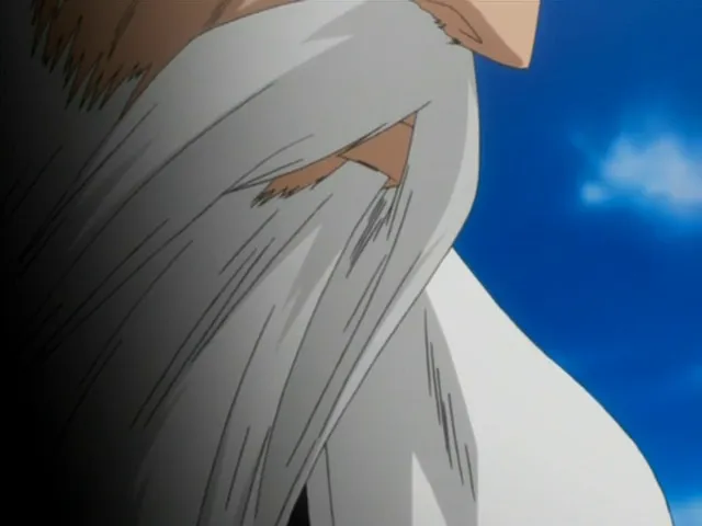Capture 21 — Épisode 55 : La Révélation de Byakuya