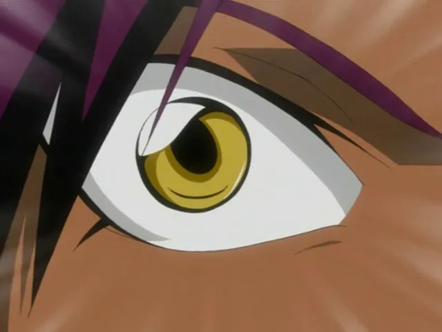 Capture 18 — Épisode 56 : Yoruichi et l'armure de l'esprit