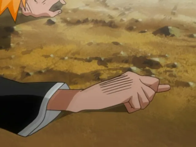 Capture 21 — Épisode 62 : Le Sourire d'Aizen