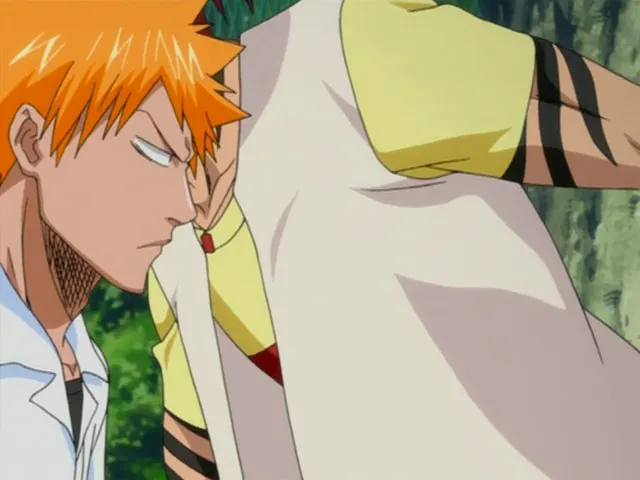 Capture 2 — Épisode 64 : Retour à Karakura Town
