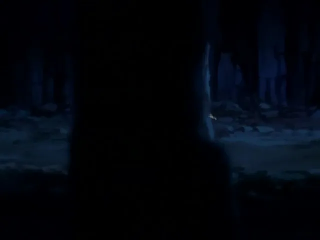 Capture 26 — Épisode 89 : Combat final — Ichigo contre Kariya