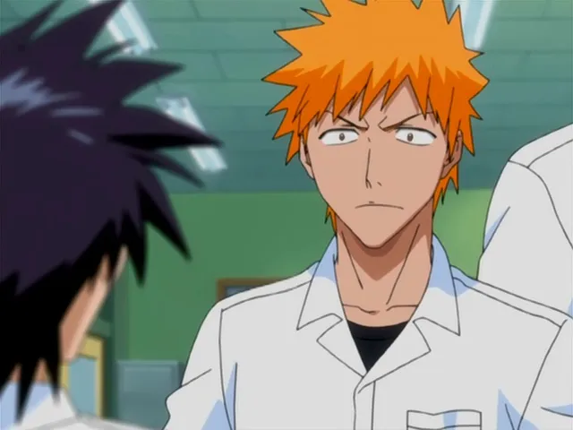 Capture 2 — Épisode 110 : Retour à Karakura Town