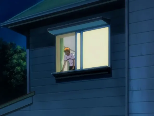 Capture 20 — Épisode 110 : Retour à Karakura Town