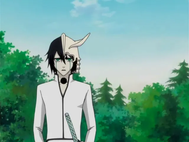 Capture 24 — Épisode 113 : L'Attaque des Arrancar