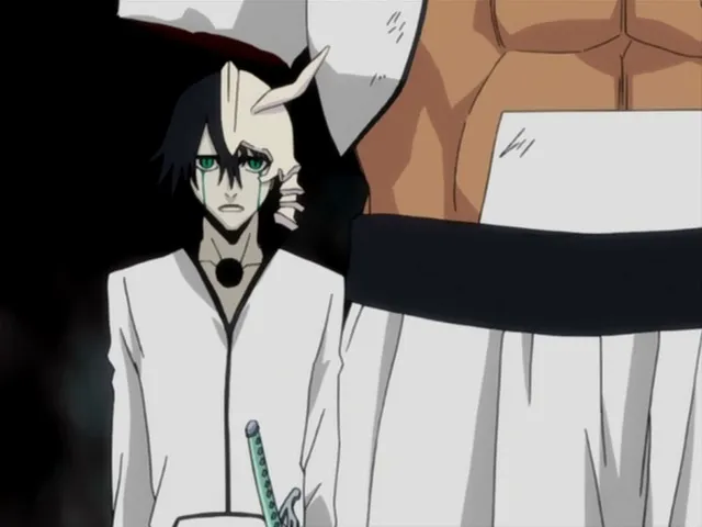 Capture 15 — Épisode 114 : Ichigo contre Grimmjow — Round 1