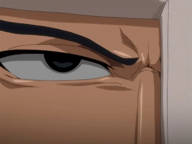 Capture 30 — Épisode 120 : Le Combat de Hitsugaya