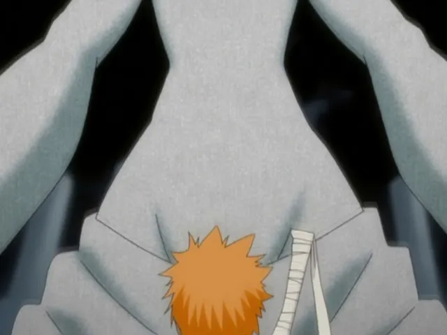 Capture 15 — Épisode 146 : Nel se transforme — Nelliel
