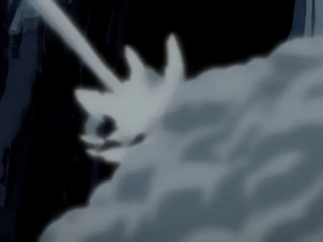 Capture 13 — Épisode 147 : Nelliel contre Nnoitora