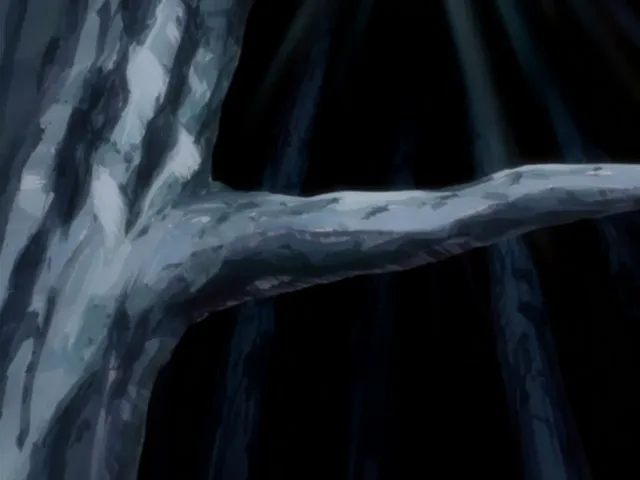 Capture 12 — Épisode 148 : Kenpachi contre Nnoitora