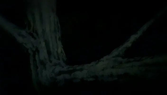 Capture 20 — Épisode 178 : Le Bakkōtō absorbe les Zanpakutō