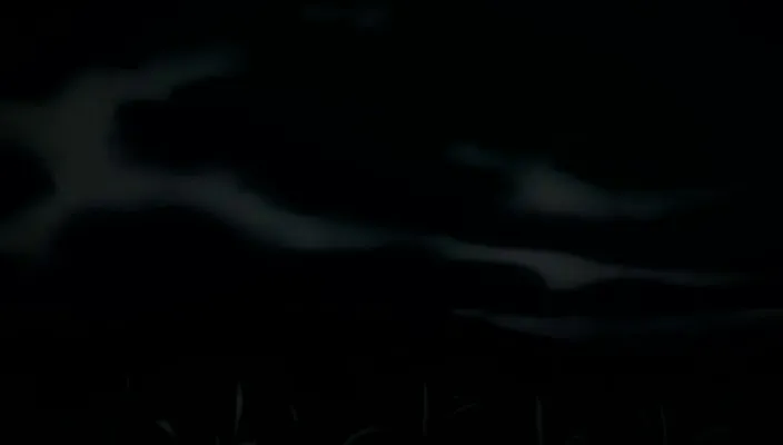 Capture 25 — Épisode 187 : Vers Hueco Mundo