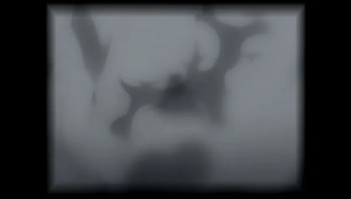 Capture 6 — Épisode 191 : Murciélago — Resurrección d'Ulquiorra