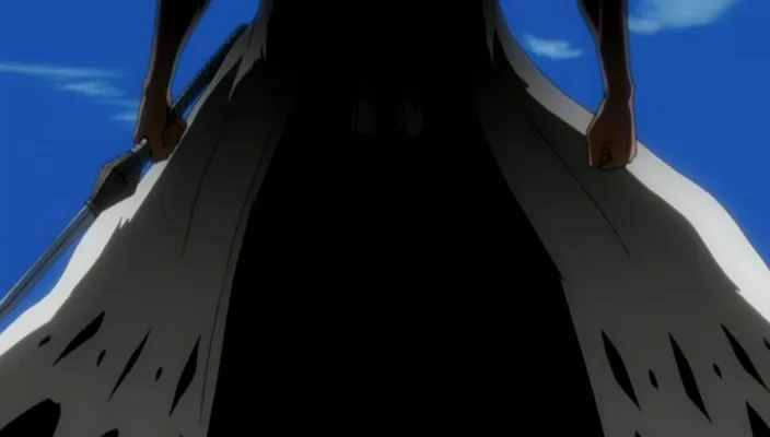 Capture 6 — Épisode 202 : Starrk, Barragan, Halibel