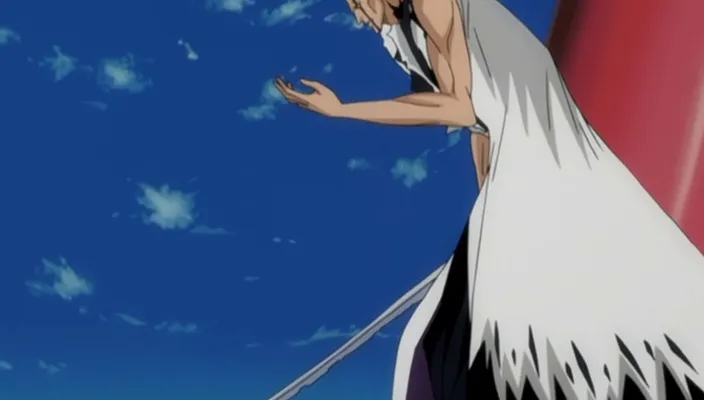 Capture 9 — Épisode 202 : Starrk, Barragan, Halibel