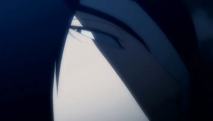 Capture 24 — Épisode 202 : Starrk, Barragan, Halibel