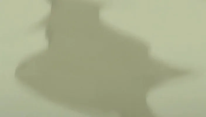 Capture 17 — Épisode 215 : Défends Karakura Town ! L'Armée Shinigami se déploie