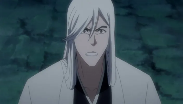 Capture 9 — Épisode 231 : Byakuya disparaît avec les cerisiers