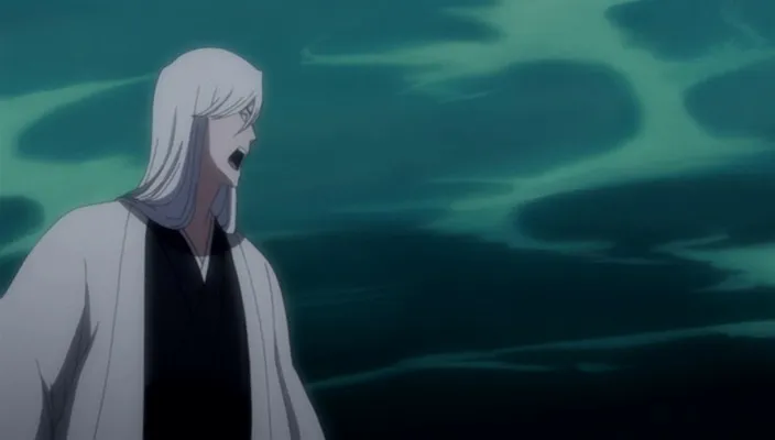 Capture 12 — Épisode 231 : Byakuya disparaît avec les cerisiers