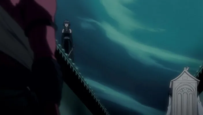 Capture 13 — Épisode 242 : Shinigamis et Zanpakutō — Sortie totale