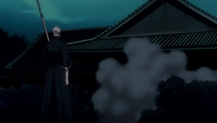 Capture 23 — Épisode 242 : Shinigamis et Zanpakutō — Sortie totale