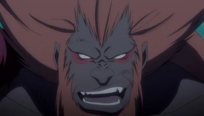 Capture 27 — Épisode 242 : Shinigamis et Zanpakutō — Sortie totale