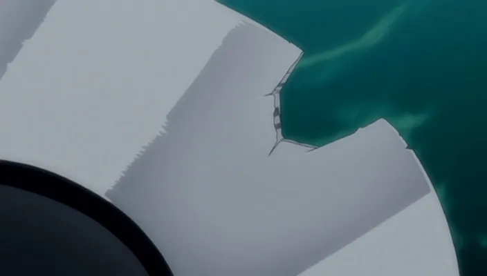 Capture 28 — Épisode 242 : Shinigamis et Zanpakutō — Sortie totale