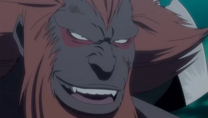 Capture 29 — Épisode 242 : Shinigamis et Zanpakutō — Sortie totale