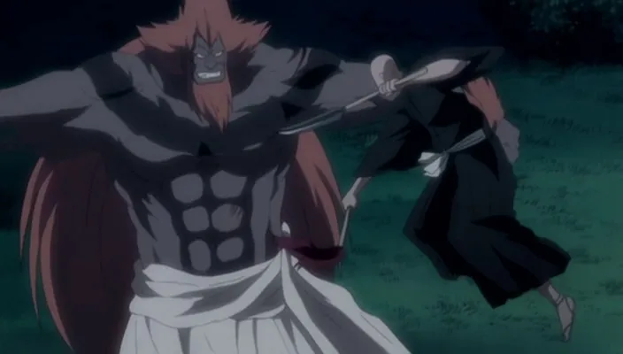 Capture 30 — Épisode 242 : Shinigamis et Zanpakutō — Sortie totale