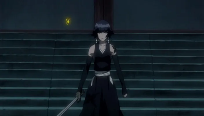 Capture 5 — Épisode 245 : Poursuivre Byakuya ! Les Divisions du Gotei en confusion