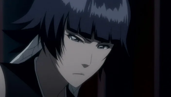 Capture 7 — Épisode 245 : Poursuivre Byakuya ! Les Divisions du Gotei en confusion